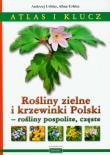 Rośliny zielne i krzewinki Polski rośliny pospolite, częste Atlas i klucz. Autor: Urbisz Andrzej, Urbisz Alina. Dadada.pl Okładka książki Rośliny zielne i krzewinki Polski rośliny pospolite, częste Atlas i klucz