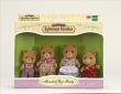 Opakowanie Sylvanian Families Rodzinka misiów