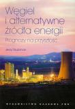 Okładka książki Węgiel i alternatywne źródła energii