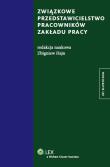 Związkowe przedstawicielstwo pracowników zakładu pracy. Autor: Zbigniew Hajn  (red. nauk.). Dadada.pl Okładka książki Związkowe przedstawicielstwo pracowników zakładu pracy
