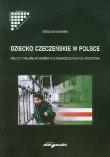 Dziecko czeczeńskie w Polsce. Autor: Januszewska Edyta. Dadada.pl Okładka książki Dziecko czeczeńskie w Polsce
