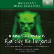 Rimsky-Korsakov: Kashchei the Immortal. Autor: Alexander Arkhipov, Irina Zhurina, Nina Terentieva, Bolshoi Theatre Orchestra. Dadada.pl Okładka książki Rimsky-Korsakov: Kashchei the Immortal