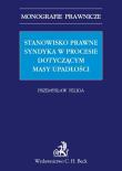 Stanowisko prawne syndyka w procesie dotyczącym masy upadłości. Autor: Feliga Przemysław. Dadada.pl Okładka książki Stanowisko prawne syndyka w procesie dotyczącym masy upadłości