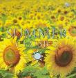 Opakowanie Summer Classics