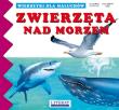 Wierszyki Zwierzęta nad morzem. Autor: Paruszewska Joanna, Stocka Katarzyna. Dadada.pl Okładka książki Wierszyki Zwierzęta nad morzem