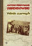 Wśród czarnych. Autor: Ossendowski Antoni Ferdynand. Dadada.pl Okładka książki Wśród czarnych