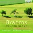 BRAHMS: PIANO TRIOS NOS. 1 & 3. Autor: Gutman Trio, Sviatoslav Moroz, Natalia Gutman, Dmitri Vinnik. Dadada.pl Okładka książki BRAHMS: PIANO TRIOS NOS. 1 & 3