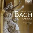 C. P. E. BACH: CANTATAS. Autor: Rheinische Kantorei, Das Kleine Konzert, Hermann Max. Dadada.pl Okładka książki C. P. E. BACH: CANTATAS