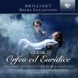 Gluck: Orfeo ed Euridice. Autor: Rundfunkchor Leipzig, Gewandhausorchester Leipzig, Vaclav Neumann. Dadada.pl Okładka książki Gluck: Orfeo ed Euridice