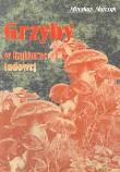 Okładka książki Grzyby w kulturze ludowej