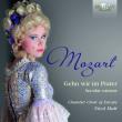 Mozart: Gehn Wir Im Prater, Secular Canons. Autor: Chamber Choir Of Europe / Nicol Matt. Dadada.pl Okładka książki Mozart: Gehn Wir Im Prater, Secular Canons