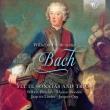 W. F. BACH: FLUTE SONATAS AND TRIOS. Autor: Wilbert Hazelet, Marion Moonen, Jacques Ogg, Jaap ter Linden. Dadada.pl Okładka książki W. F. BACH: FLUTE SONATAS AND TRIOS