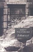 Zobaczyć. Autor: Paczowski Bogdan. Dadada.pl Okładka książki Zobaczyć