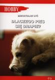 Dlaczego pies się drapie?. Autor: Mieczysław Dyś. Dadada.pl Okładka książki Dlaczego pies się drapie?