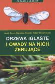 Drzewa iglaste i owady na nich żerujące. Autor: Opracowanie zbiorowe. Dadada.pl Okładka książki Drzewa iglaste i owady na nich żerujące