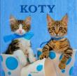 Koty TW. Autor: Stroud Jonathan. Dadada.pl Okładka książki Koty TW