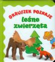 Okładka książki Okruszek poznaje - Leśne zwierzęta