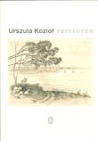 Okładka książki Przelotem