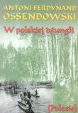 W polskiej dżungli. Autor: Ossendowski Antoni Ferdynand. Dadada.pl Okładka książki W polskiej dżungli