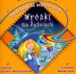 Wróżki na łyżwach. Autor: Wojnarowska Dorota. Dadada.pl Okładka książki Wróżki na łyżwach