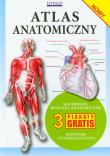 Atlas anatomiczny. Autor: Opracowanie zbiorowe. Dadada.pl Okładka książki Atlas anatomiczny