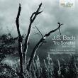 Bach: Trio Sonatas. Wydawca: Brilliant Classics. Dadada.pl Opakowanie Bach: Trio Sonatas