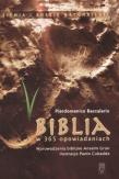 Biblia w 365 opowiadaniach. Autor: Baccalario P.D.. Dadada.pl Okładka książki Biblia w 365 opowiadaniach