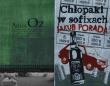 Chłopaki w Sofixach / Opowieść się rozpoczyna. Autor: Porada Jakub, Amos Oz. Dadada.pl Okładka książki Chłopaki w Sofixach / Opowieść się rozpoczyna