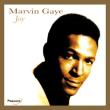 Joy. Autor: Marvin Gaye. Dadada.pl Okładka książki Joy