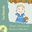 Nowy przyjaciel króla Jędrusia - Skrzat. Autor: Ewa Ostrowska. Dadada.pl Okładka książki Nowy przyjaciel króla Jędrusia - Skrzat