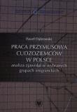 Praca przymusowa cudzoziemców w Polsce. Autor: Dąbrowski Paweł. Dadada.pl Okładka książki Praca przymusowa cudzoziemców w Polsce