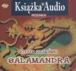 Salamandra - Audiobook. Autor: Grabiński Stefan. Dadada.pl Okładka książki Salamandra - Audiobook