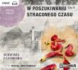 W poszukiwaniu straconego czasu - Audiobook. Autor: Proust Marcel. Dadada.pl Okładka książki W poszukiwaniu straconego czasu - Audiobook