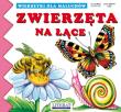 Wierszyki Zwierzęta na łące. Autor: Paruszewska Joanna, Stocka Katarzyna. Dadada.pl Okładka książki Wierszyki Zwierzęta na łące
