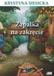 Zapałka na zakręcie. Autor: Krystyna Siesicka. Dadada.pl Okładka książki Zapałka na zakręcie