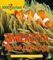 Okładka książki 1000 pytań. Zwierzęta te, co pływają