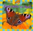Album malucha - Zwierzęta na łące. Autor:   Praca zbiorowa. Dadada.pl Okładka książki Album malucha - Zwierzęta na łące