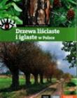 Drzewa liściaste i iglaste w Polsce. Autor: Inga Szwedler, Zbigniew Nawara. Dadada.pl Okładka książki Drzewa liściaste i iglaste w Polsce