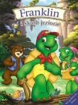 Okładka książki Franklin i skarb jeziora twarda