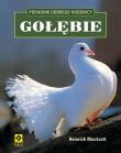 Okładka książki Gołębie - Poradnik dobrego hodowcy RM