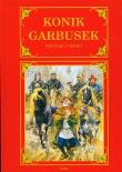 Konik Garbusek twarda SARA. Autor: Natalia Usenko. Dadada.pl Okładka książki Konik Garbusek twarda SARA