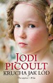 Krucha jak lód. Autor: Picoult Jodi. Dadada.pl Okładka książki Krucha jak lód