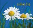 Okładka książki Lubię Cię. Perełka 162