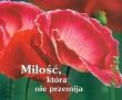 Okładka książki MILOSC KTORA NIE P..PERELKA 154-SWPA