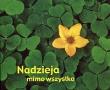 Okładka książki Nadzieja mimo wszystko. Perełka 114