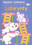 Okładka książki Nauka i zabawa Labirynty