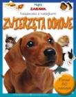 Okładka książki Nauka i zabawa. Zwierzęta domowe