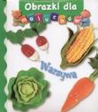 Okładka książki Obrazki dla maluchów - Warzywa