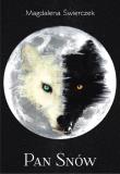Pan snów. Autor: Świerczek Magdalena. Dadada.pl Okładka książki Pan snów