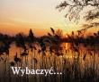 Okładka książki Perełka 087 - Wybaczyć....